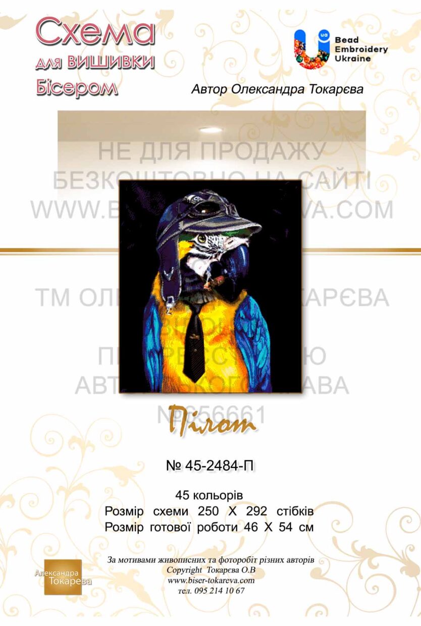 № 270 Пилот 45-2484-НП титул укр