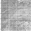 № 442 Ночная охота 34-2255-НН схема укр 1 № 442 Ночная охота 34-2255-НН схема укр 1