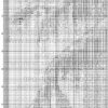 № 282 Летний день в лесу 60-6141-НЛ схем № 282 Летний день в лесу 60-6141-НЛ схем
